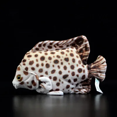 Produktbild von Argusfisch Kuscheltier 20 cm – Realistischer Fisch Plüsch Stofftier