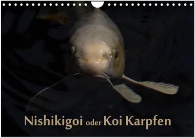 Produktbild von Nishikigoi oder Koi Karpfen (Wandkalender 2026 DIN A4 quer), CALVENDO Monatskalender