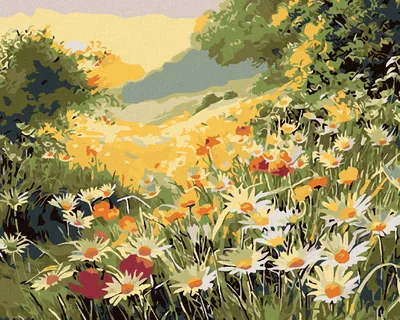 Produktbild von Zuty - Malen nach Zahlen - SOMMERWIESE, 40x50 cm, mit Keilrahmen (bereits gespannt)