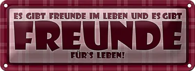 Produktbild von Blechschild Spruch 27x10cm Es gibt Freunde im Leben Dekoration
