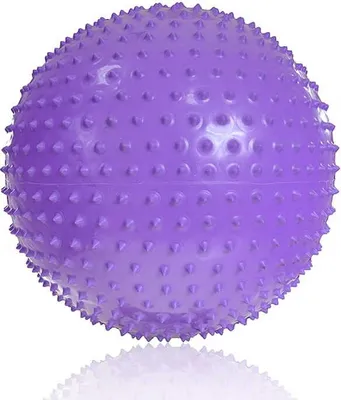Obrázek produktu pro Gymnastický míč s masáží Profit 55cm fialový DK2104