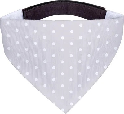 Produktbild von Mr. & Mrs. Panda Hunde Halstuch Eisbär Faul - Grau Pastell - Geschenk, Bär, Hunde-Halstuch, Hund, Nordpol, Entspannen, Teddy, Hundehalstuch, Arbeit, Tuch, Homeoffice