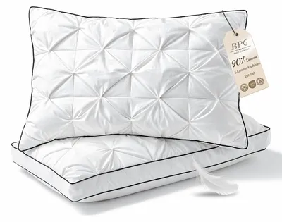 Image de Coussin en duvet à trois épaisseurs - Respirant et lavable - 50x75 cm - Lot de 2
