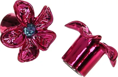 Produktbild von Set: 2x Ventilkappe Blume, Pink eloxiert