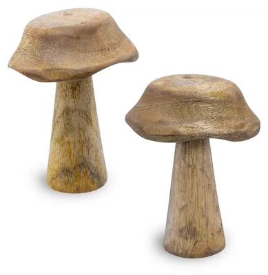 Image de Lot de 2 champignons décoratifs en bois Mango à poser – 14 x 10 cm - Figurines de champignons en bois pour une décoration polyvalente