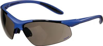 Produktbild von Schutzbrille DAYLIGHT PREMIUM EN 166 Bügel dunkelblau,Scheibe smoke PC PROMAT