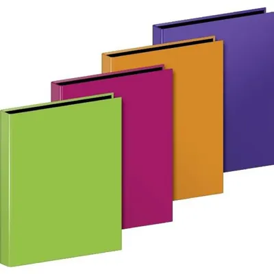 Produktbild von BRUNNEN Ringbuch/Trend A4 Sonstige Sonstige
