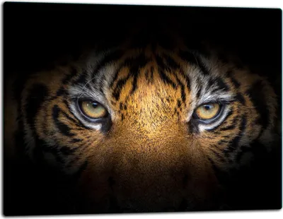 Immagine prodotto di Tagliere in vetro Piastra di copertura per piano cottura in Vetroceramica Universale 52x40 cm Tiger Black