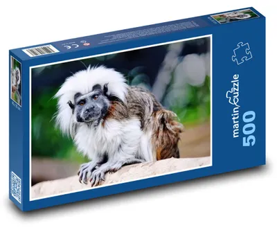 Obrázek produktu pro martinpuzzle - Puzzle 500 - Tamarín - malá opice, zvíře