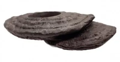 Productafbeelding van Zoo Med Arboreal Feeding Platform voerplateau met zuignap 22,2 x 5,7 x 17,1 cm voor klimmende reptielen