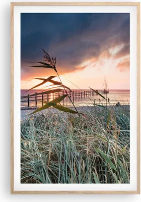 Produktbild von Gerahmtes Poster - Rahmen in heller Eiche - Strand Gras Horizont - 61x91,5 cm - Wand Bild - Wanddeko - Wandbilder - Kunstposter - Wandposter - Bilderrahmen - Bilder - Kunstdruck - P2NPA61x91-4625