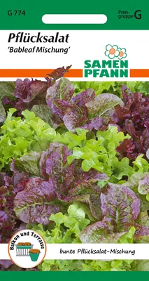 Artikelbild 1 von 'Pflücksalat Baby Leaf Mix' aus der Kategorie Pflücksalatsamen