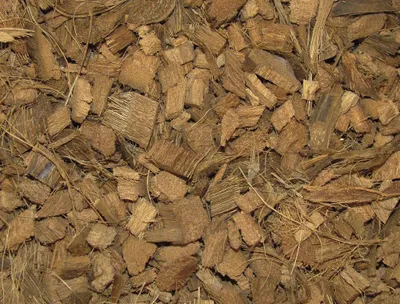 Image de Nobby Litière de coco grossière 10 l