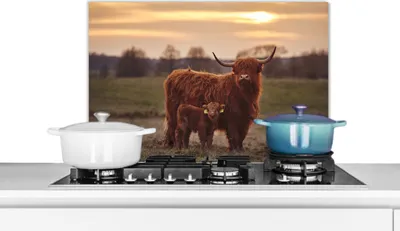 Produktbild von KitchenYeah®  Spritzschutz Küche - Küchenrückwand - Wandschutz für Herd und Spüle - Schottische Hochlandrind - Tiere - Landschaft - Sonnenuntergang - Kuh 70x50 - Alu-Dibond (Alternative zum Spritzschu