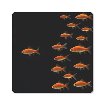 Produktbild von MuchoWow® Mauspad Mousepad Goldfisch - Tiere - Schwarz 20x20 cm - Mousepads - Maus Mat - Pad - Mausunterlage - Desk Mat - Bureauartikeln