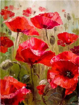 Malen nach Zahlen Mohnblumen, Acrylmalerei 40x50 cm, ohne Rahmen