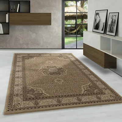 Produktbild von Carpetsale24 Orientteppich, Klassischer Teppich für Wohnzimmer mit Ornament-Muster, Pflegeleicht & Elegant, Grösse: 80x150 cm