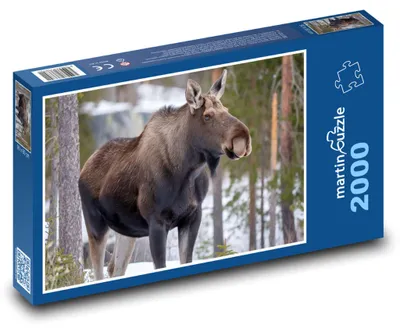 Obrázek produktu pro Puzzle 2000 Los v zimním lese - martinpuzzle