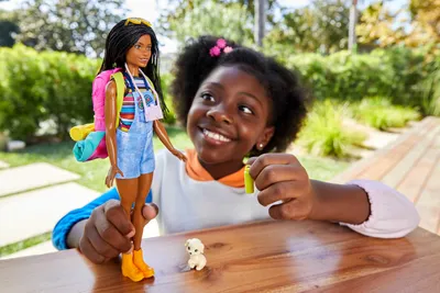 Produktbild von Barbie "It takes two Camping" Set inkl. Brooklyn Puppe, Hund & Zubehör
