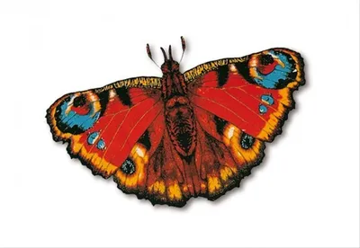 Produktbild von Einleinerdrachen Delta Pfauenaug. PE 92x62 4+