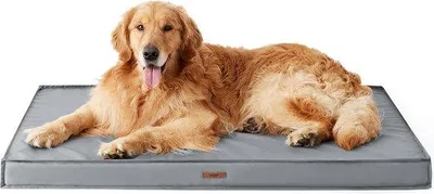 Image de Lit orthopédique pour chien, 112 x 81 x 7,6 cm, lavable, gris, pour l'extérieur