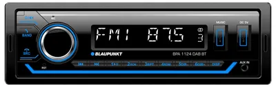 Obrázok produktu pre Blaupunkt BPA 1124 DAB BT, Čierna, Otočné, CT, EON, PTY, REG, MP3, WMA, LCD, A2DP, AVRCP, HFP, SPP