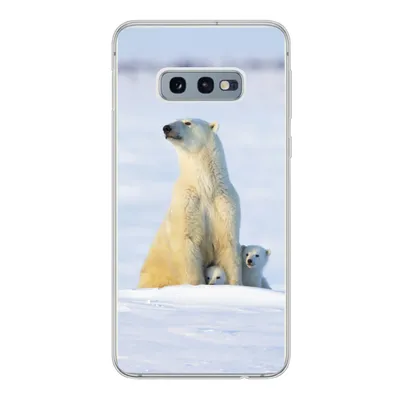 Produktbild von MuchoWow® Handyhülle Schutzhülle Hülle für Samsung Galaxy S10e Eisbär - Schnee - Jungtiere Silikon Softcase Handy Hülle - Handy