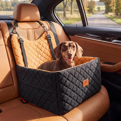 Produktbild von Hunde Autositz Hundesitz Hundeautositz für Unter 15 KG, Hundetasche mit 2 Sicherheitsgurte, Orange