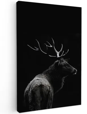 Image de Solidchoice - Tableau sur toile représentant des cerfs - Portrait - 80x120 cm - Décoration murale
