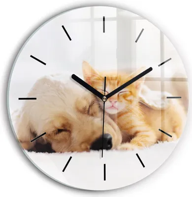 Produktbild von Wallfluent Wanduhr – Stilles Quarzuhrwerk - Uhr Dekoration Wohnzimmer Schlafzimmer Küche - Zifferblatt mit Striche - schwarze Zeiger - 30 cm - Schlafende Katze und Hund