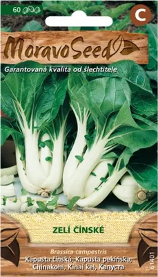 Obrázek produktu pro Zelí čínské 61401,