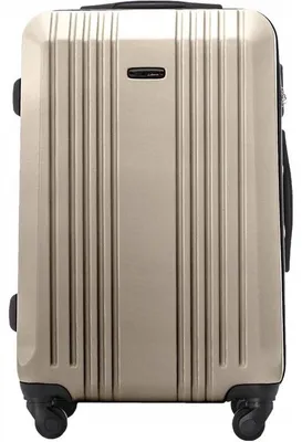 Zdjęcie produktu dla Walizka duża Wings 28" KESTREL Champagne