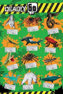 Image de Deadly 60 - 61x91,5cm - Affiche Poster