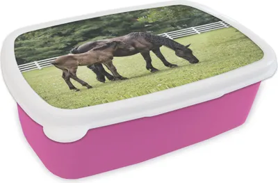 Produktbild von KitchenYeah® Lunchbox Brotzeit Brotdose 17x11 cm Pferde - Gras - Baum Kinder Brotzeitdose - Lunchpaket - Brotkasten  - Sandwich Box