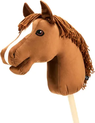 Immagine prodotto di Il mio cavallo per hobby - Cavallo per hobby Caristo