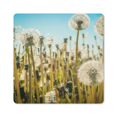 Produktbild von MuchoWow® Mauspad Mousepad Blumen - Löwenzahn - Gras 20x20 cm - Mousepads - Maus Mat - Pad - Mausunterlage - Desk Mat - Bureauartikeln