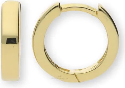 Produktbild von JuwelmaLux Creolen 925 Silber Gelbgold plattiert JL10-06-0476