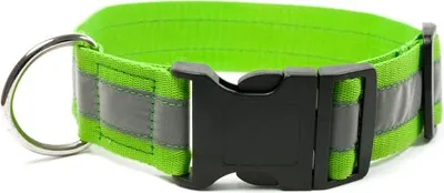 Produktbild von Mystique® Signalhalsband mit Klickverschluss 40mm neongrün 40-50cm