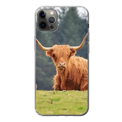 Produktbild von MuchoWow® Handyhülle Schutzhülle Hülle für iPhone 13 Pro Max Schottische Highlander - Gras - Wald Silikon Softcase Handy Hülle - Mobiltelefon