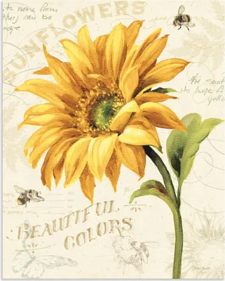 Produktbild von ARTland Wandbild Alu für Innen & Outdoor Under the Sun II Größe: 30x40 cm