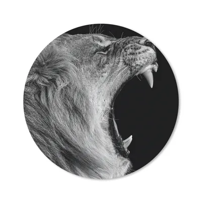 Produktbild von MuchoWow® Mauspad Mousepad Tiere - Löwe - Schwarz - Weiß - Porträt 40x40 cm - Mousepads - Maus Mat - Pad - Mausunterlage - Schreibtisch Accessoires