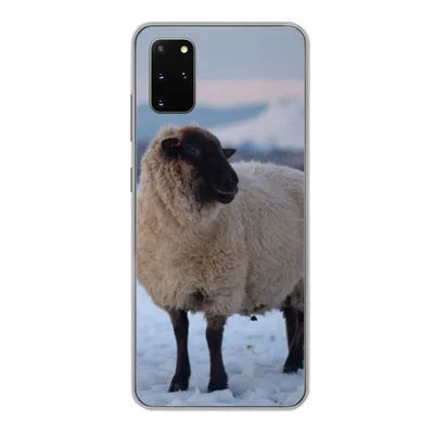 Produktbild von MuchoWow® Handyhülle Schutzhülle Hülle für Samsung Galaxy S20 Plus Schaf - Schnee - Berg Silikon Softcase Handy Hülle - Hartschale