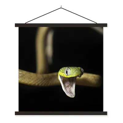 Produktbild von MuchoWow® Textilposter Schlange - Tier - Schwarz 120x120 cm mit schwarzem Rahmen - Aufhängungsset