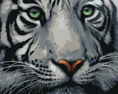 Produktbild von Zuty - Malen nach Zahlen - KOPF EINES WEIßEN TIGERS, 40x50 cm, mit Keilrahmen (bereits gespannt)