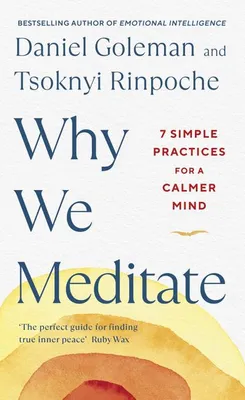 Image de Why We Meditate