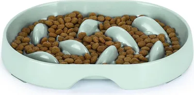Immagine prodotto di Ciotola antiscivolo per gatti e cani di piccola taglia, alimentazione lenta, base antiscivolo, verde chiaro