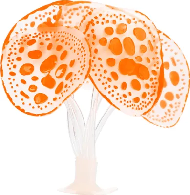 Image de Silicone Brillant Aquarium Simulation Corail avec Suceur, Orange
