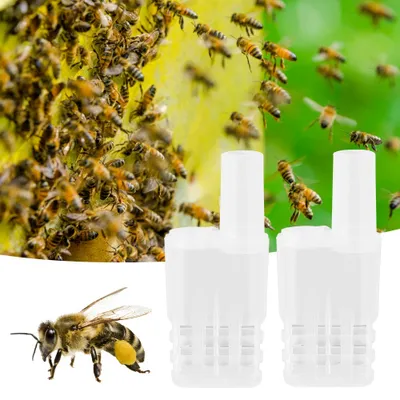 Image de Cage à reine d'abeille,Boîte à reine d'abeille,Cage à reine d'abeille,Cage à reine d'abeille à l'épreuve des évasions,Outil d'apiculture