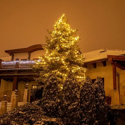 A decorated Christmas tree in front of a house during winter.