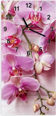 Produktbild von Wanduhr aus Glas mit Motiv Orchideen Holz Hintergrund- 30 x 60 cm - inkl. Aufhängesystem